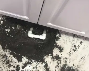 鹤城查漏水哪家好